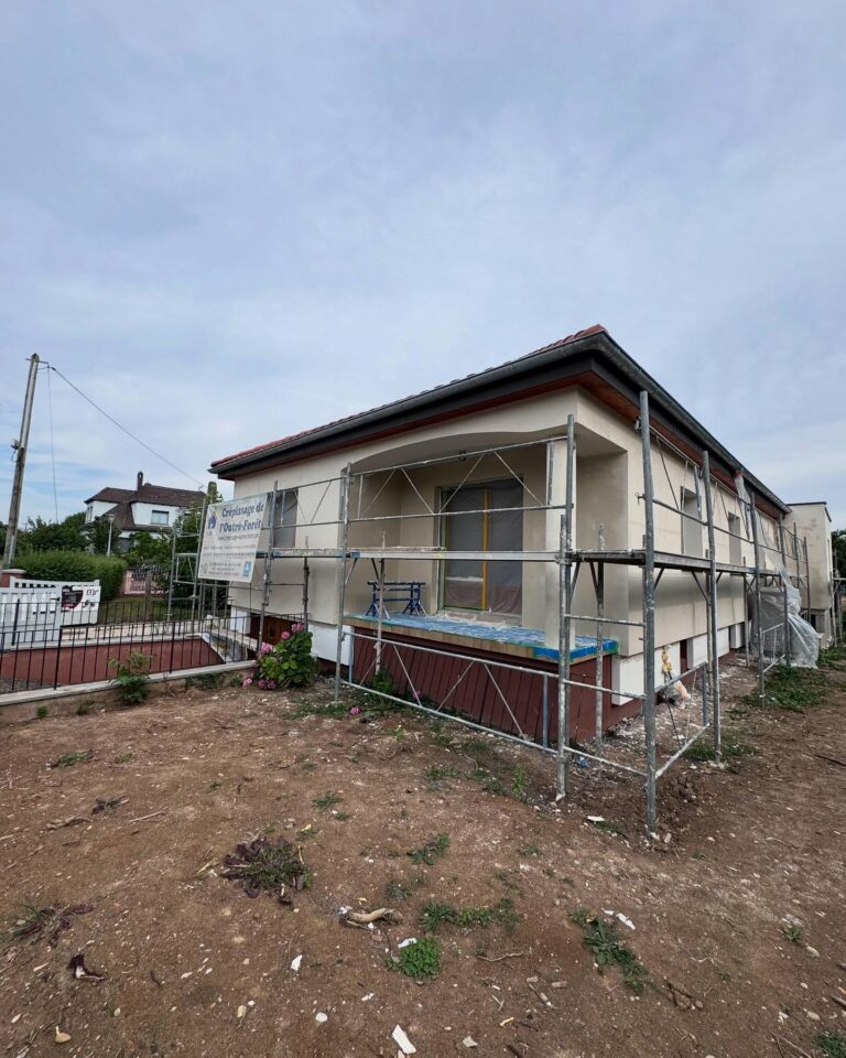 pose-de-crepis-wissembourg