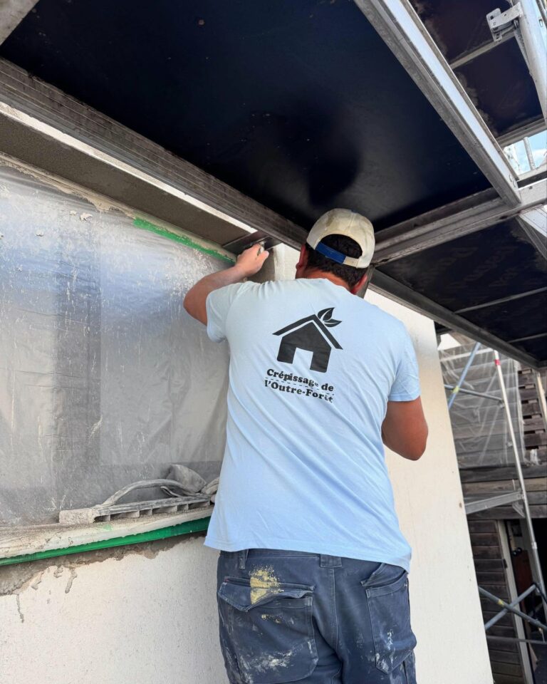 renovation-facade-minversheim